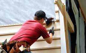 Best Historical Building Siding Restoration  in Park City, IL